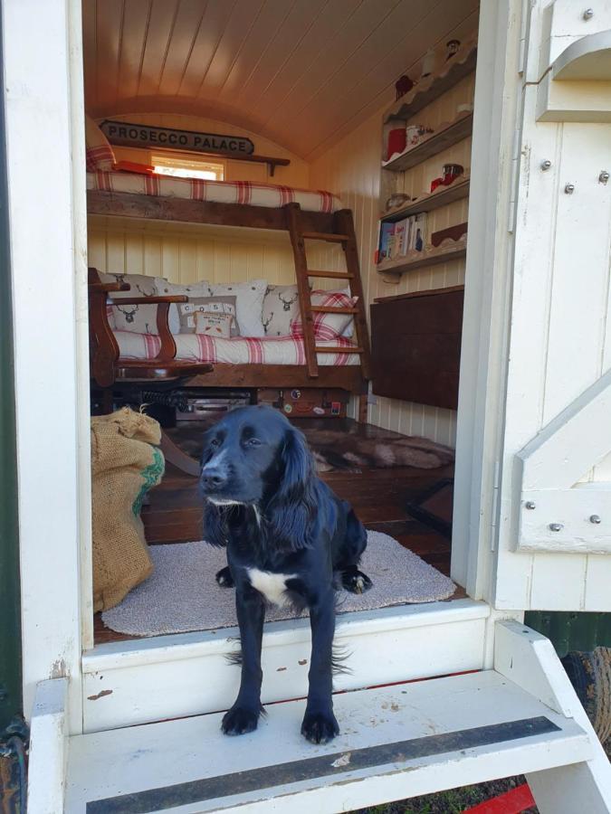 The Delkin Shepherds Huts Castle Combe Buitenkant foto